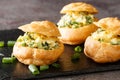 Profiterole sandwiches stuffed with egg salad close-up on a slate board. horizontal Royalty Free Stock Photo