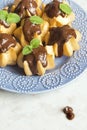 Profiteroles with chocolate sauce Royalty Free Stock Photo