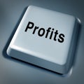 Profits wealth money success award key Royalty Free Stock Photo