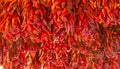 Profusion of Red Chillis Royalty Free Stock Photo
