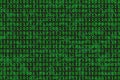 Program datum background. Green programming binary coding. Matrix