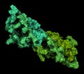 Programmed death-ligand 1 PD-L1 protein. Produced by tumor to suppress the immune system. Blockers of the PD-L1 and PD-1.