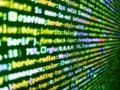 Programmer developer screen, web app coding. Template of website, selective focus. Internet app. Developer working on web sites Royalty Free Stock Photo