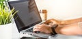 Programmer woman writing program code sitting at workplace in office Royalty Free Stock Photo