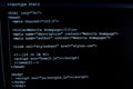 Programming coding source code screen. Royalty Free Stock Photo