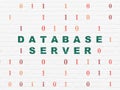 Programming concept: Database Server on wall background Royalty Free Stock Photo