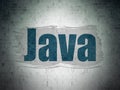 Programming concept: Java on Digital Data Paper background Royalty Free Stock Photo
