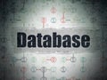 Programming concept: Database on Digital Data Paper background Royalty Free Stock Photo