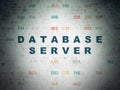 Programming concept: Database Server on Digital Data Paper background Royalty Free Stock Photo