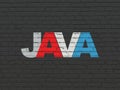 Programming concept: Java on wall background Royalty Free Stock Photo