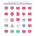 Programming and Developement icon Dusky Flat color - Vintage 25