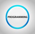 Programming Round Blue Push Button Royalty Free Stock Photo