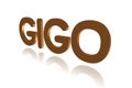 Programming Term - GIGO - Garbage In, Garbage Out - 3D image