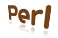Programming Term - Perl - Practical Extraction and Reporting Language