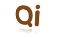 Programming Term - Qi - Programming Language