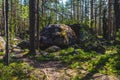 Erratic boulders Royalty Free Stock Photo