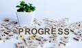 PROGRESS word letters on wooden blocks with wooden letters. BUSINESS