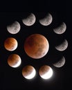 Progression of stages of the total lunar eclipse full moon Royalty Free Stock Photo