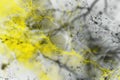 This project focuses on digital connections within abstract neural network systems AIG62