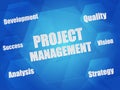 Project management and business concept words in hexagons Royalty Free Stock Photo