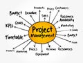 Project management mind map, business concept