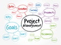 Project management mind map flowchart, business concept