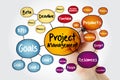 Project management mind map flowchart with marker, business concept for presentations and reports Royalty Free Stock Photo