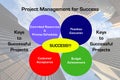 Project Management Success Diagram