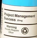 Project Management Success