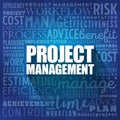 Project Management word cloud collage, business concept background Royalty Free Stock Photo