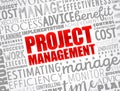 Project Management word cloud collage, business concept background Royalty Free Stock Photo