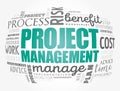 Project Management word cloud collage Royalty Free Stock Photo