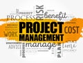 Project Management word cloud collage concept Royalty Free Stock Photo