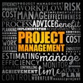 Project Management word cloud collage Royalty Free Stock Photo