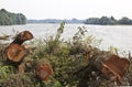 Project Room for the river, IJssel, Netherlands