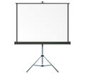 Projection screen