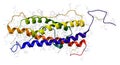 Prolactin hormone