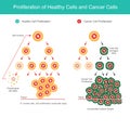 Proliferation of Healthy Cells and Cancer Cells. Comparison illustration of normal cell proliferation and Cancer cell