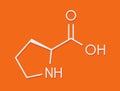 Proline l-proline, Pro amino acid molecule. Skeletal formula. Royalty Free Stock Photo