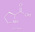 Proline l-proline, Pro amino acid molecule. Skeletal formula. Royalty Free Stock Photo