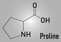 Proline or l-proline, Pro, amino acid molecule. Skeletal formula.