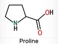 Proline, L - proline, Pro proteinogenic amino acid molecule. Skeletal chemical formula