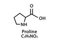 Proline molecular structure. Proline skeletal chemical formula. Chemical molecular formula vector illustration