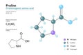 Proline. Pro C5H9NO2. Proteinogenic Amino Acid. Structural Chemical Formula and Molecule 3d Model. Atoms with Color Coding. Vector