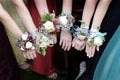 Prom Corsages Girls Beautiful Dresses Royalty Free Stock Photo