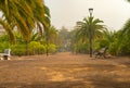 Promenade alley in a public park covered with sand storm, calima. Tenerife, Spain