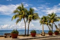 The promenade along Rizal Boulevard, City of Dumaguete, Negros Oriental, Philippines