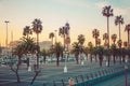 Promenade of Barcelona with palm trees and yachts on a sunny day. View of palm trees and a marina