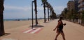 Promenade beach and palms
