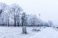 Promenade in Bratislava park in a snowy winter day, Sad Janka Kr